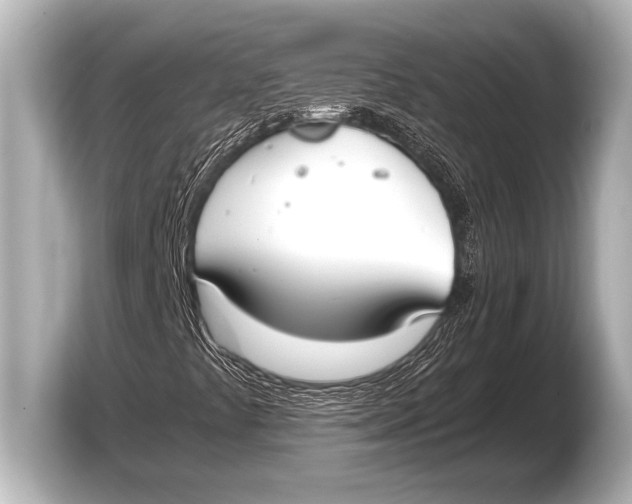 X0000103431441200810031341