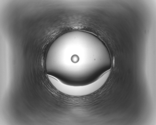 X0000103431444200810031341