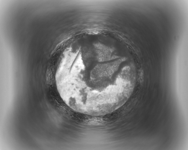 X0000103431446200810031341