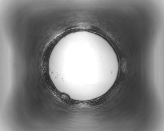 X0000103431448200810031341