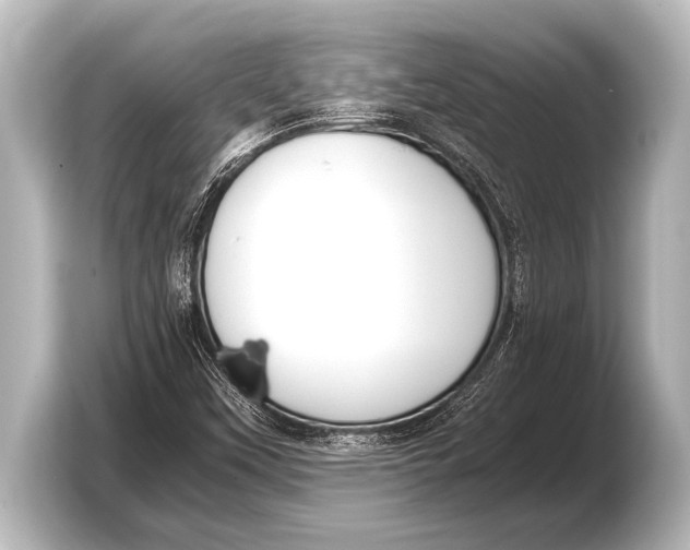 X0000103431451200810031341