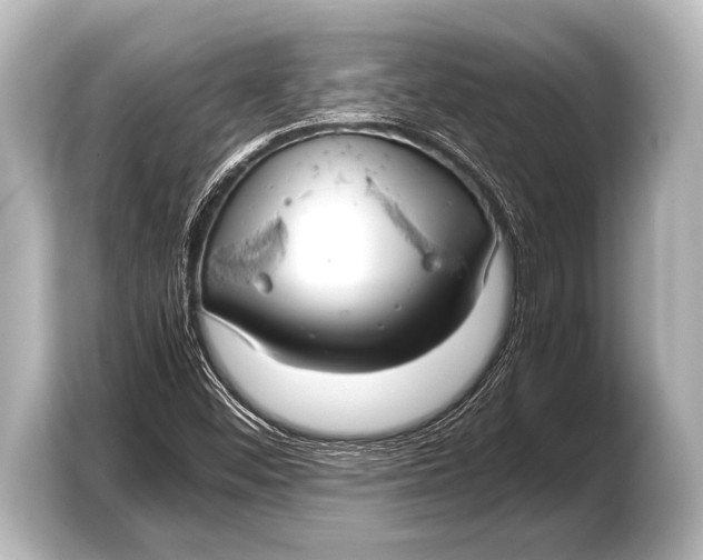 X0000103431452200810031341