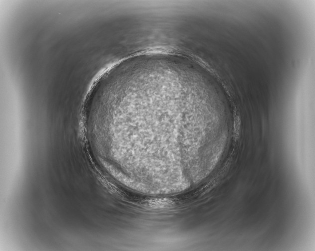 X0000103431454200810031341