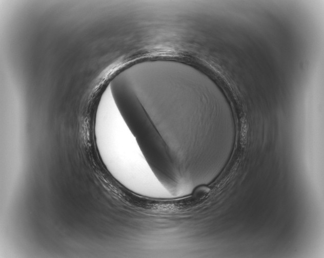 X0000103431455200810031341