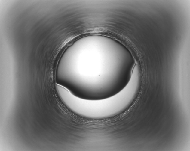 X0000103431457200810031341