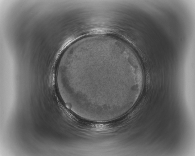 X0000103431459200810031341