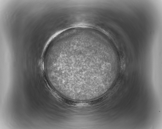 X0000103431462200810031341