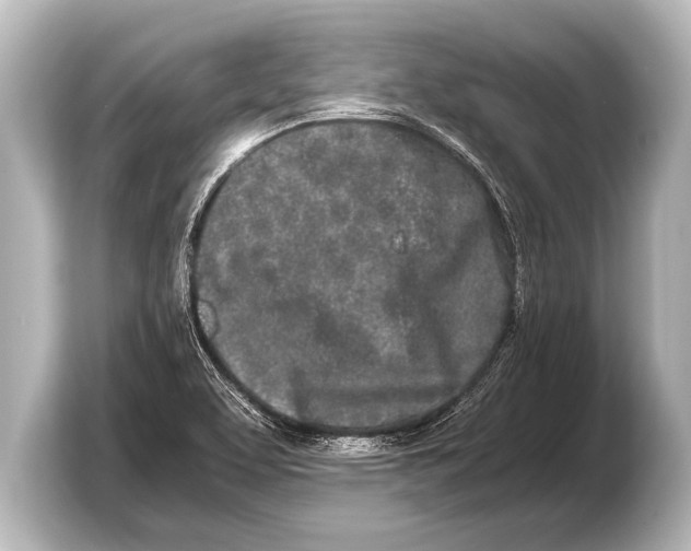 X0000103431463200810031341