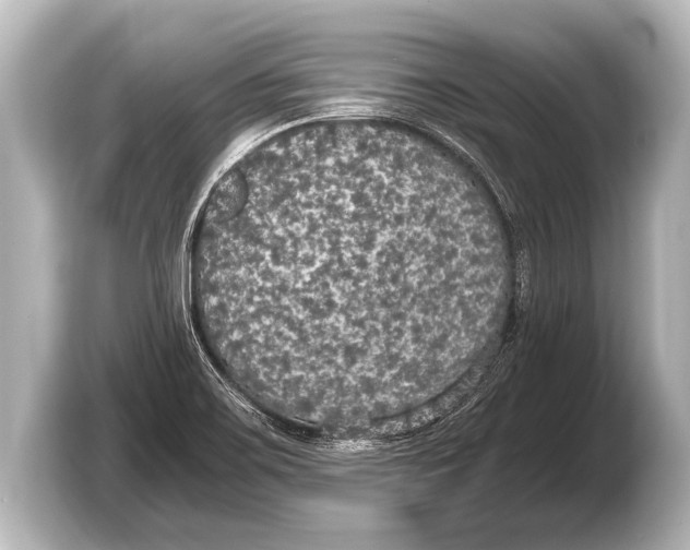 X0000103431467200810031341