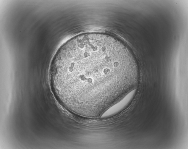 X0000103431471200810031341