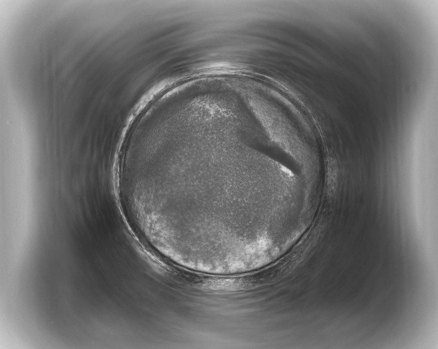 X0000103431474200810031341