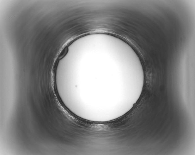 X0000103431476200810031341