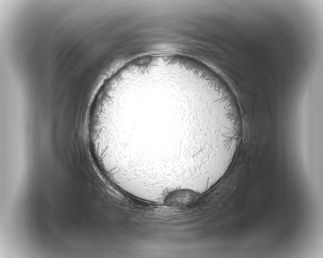 X0000103431477200810031341