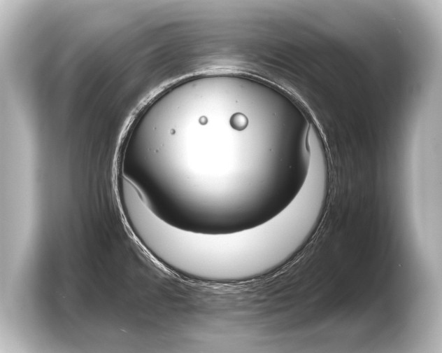 X0000103431480200810031341