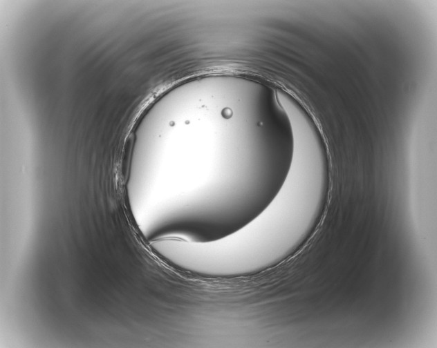 X0000103431481200810031341