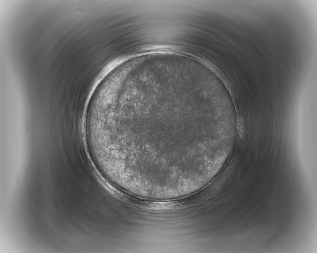 X0000103431482200810031341