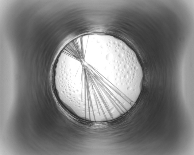 X0000103431483200810031341