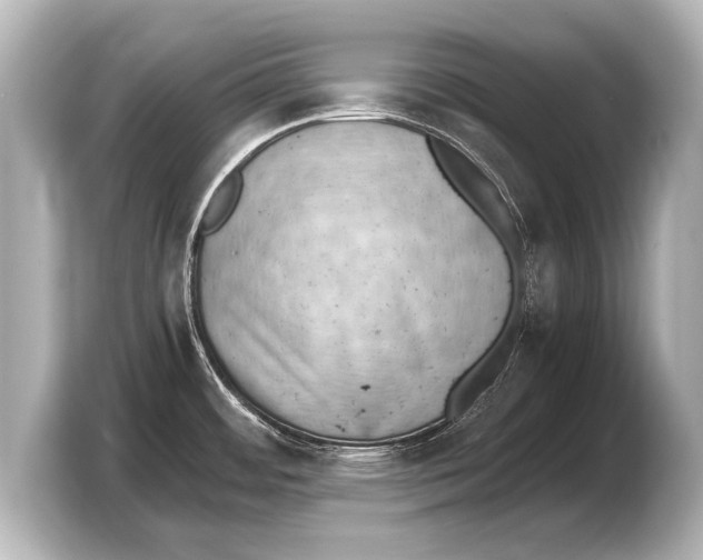 X0000103431484200810031341