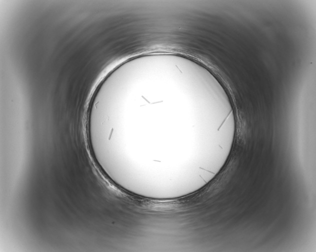 X0000103431486200810031341