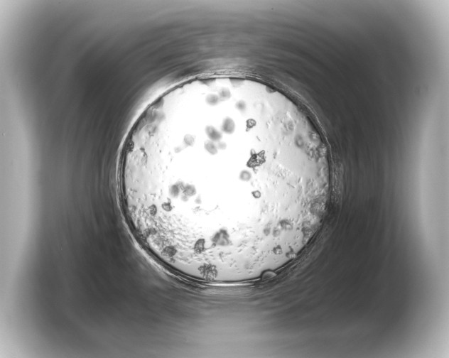 X0000103431487200810031341