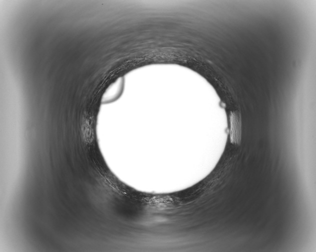 X0000103431491200810031340