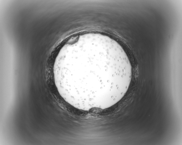 X0000103431496200810031340