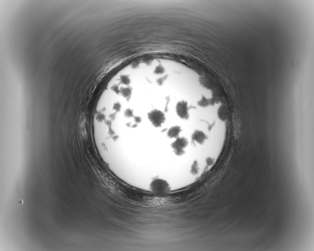 X0000103431497200810031340