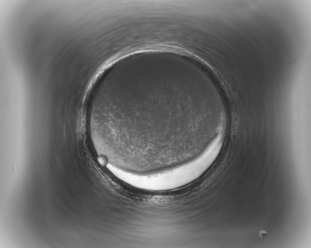 X0000103431506200810031340