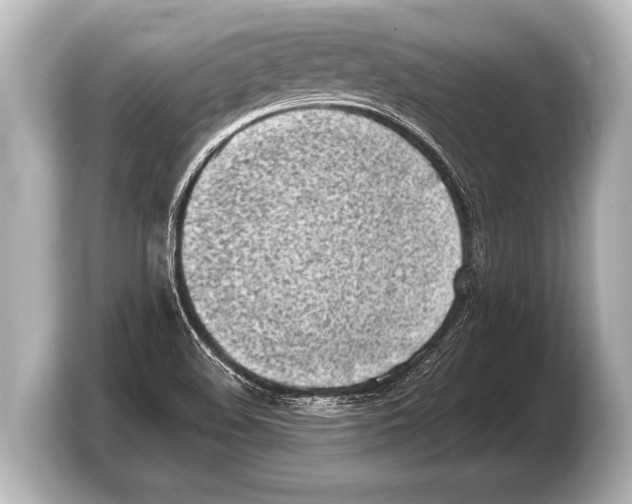 X0000103431508200810031340