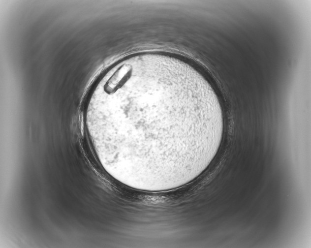 X0000103431509200810031340