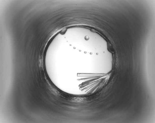 X0000103431513200810031340