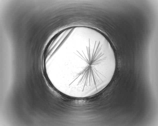 X0000103431515200810031340