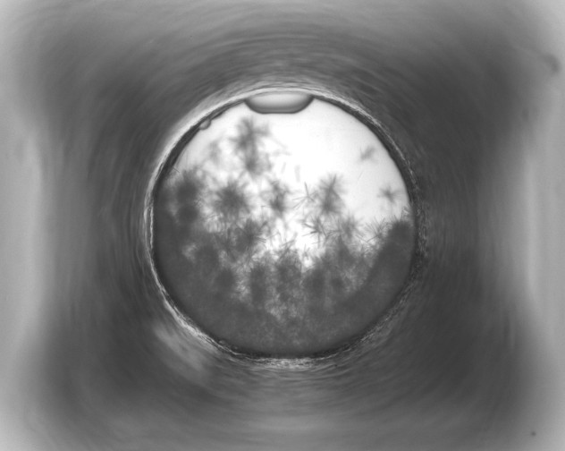 X0000103431519200810031340