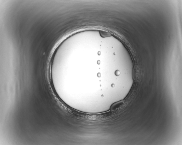 X0000103431520200810031340