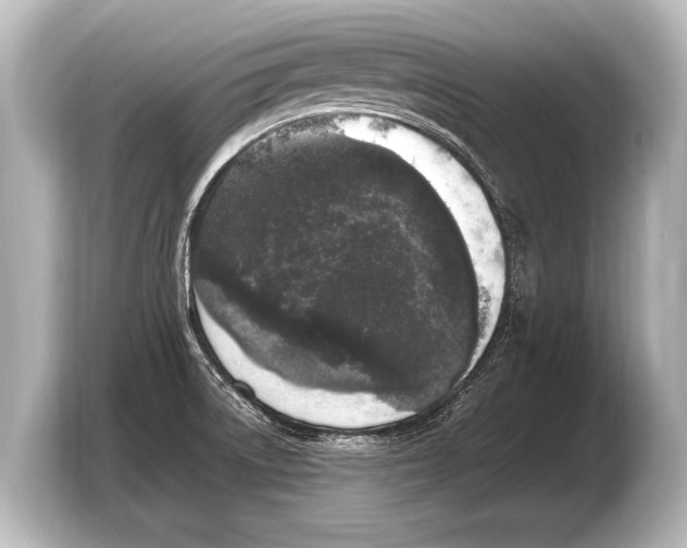 X0000103431522200810031340