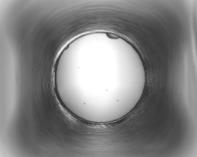 X0000103431524200810031340