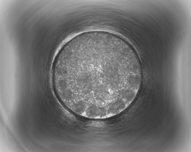 X0000103431525200810031340