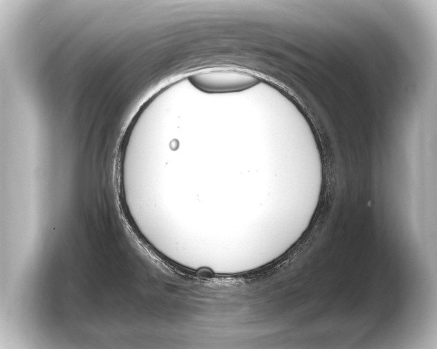 X0000103431526200810031340