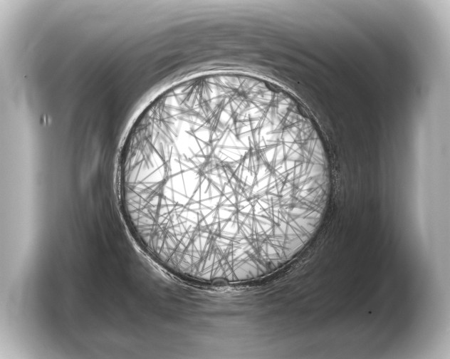 X0000103431527200810031340