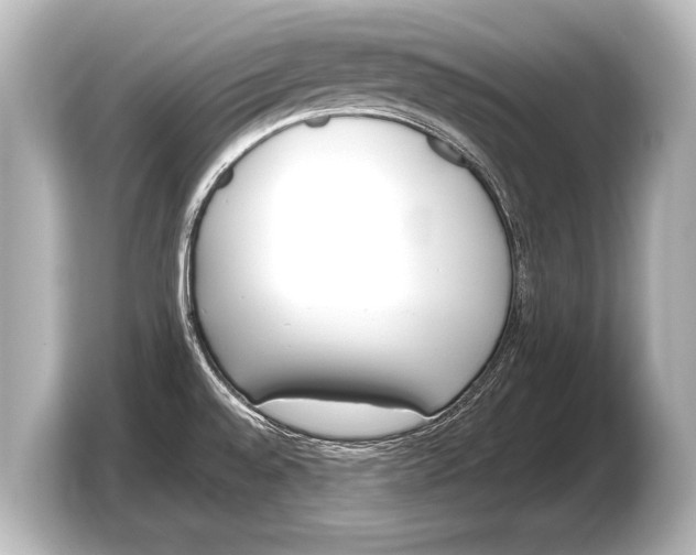 X0000103431528200810031341