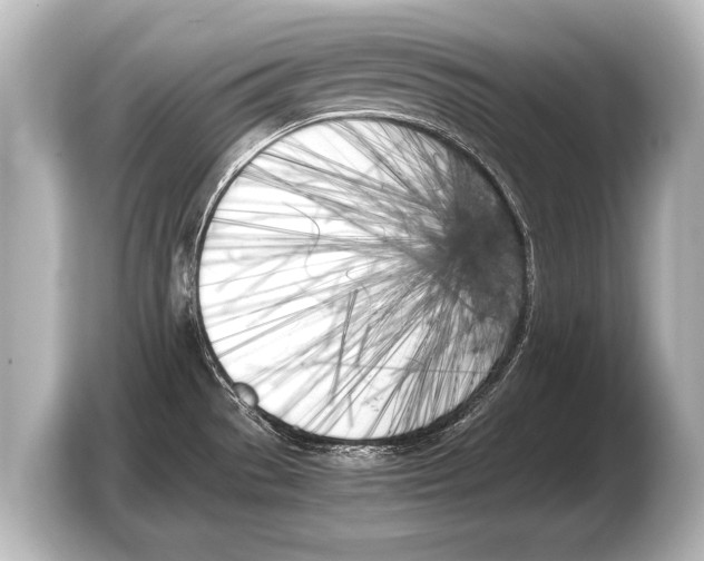 X0000103431529200810031341