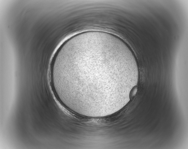 X0000103431531200810031341