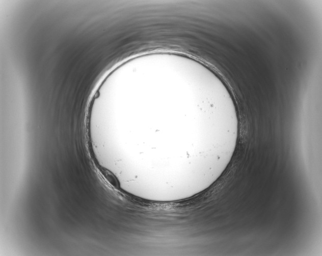 X0000103431532200810031341