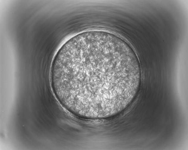 X0000103431533200810031341