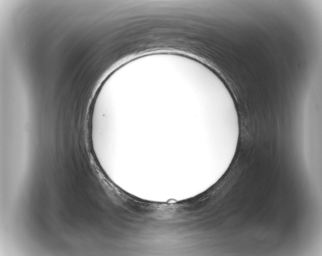 X0000103431534200810031341