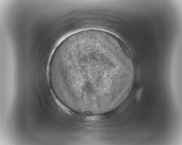 X0000103431535200810031341