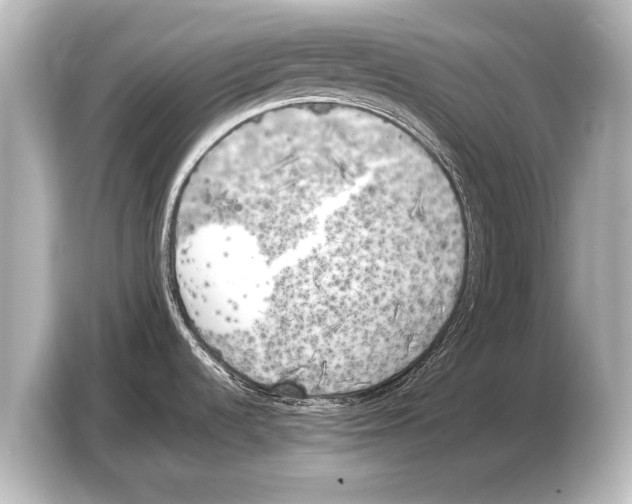 X0000103431536200810031341