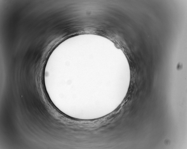 X0000103430001200810101053