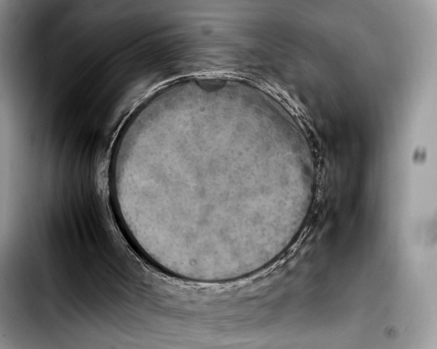 X0000103430002200810101053