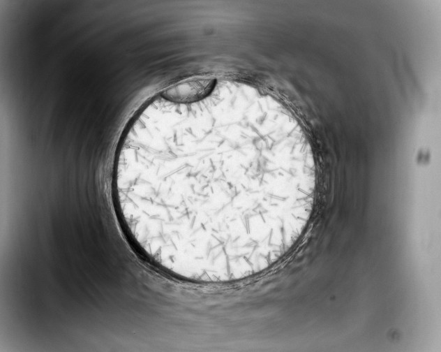 X0000103430003200810101053